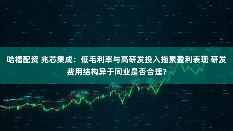 哈福配资 兆芯集成：低毛利率与高研发投入拖累盈利表现 研发费用结构异于同业是否合理？
